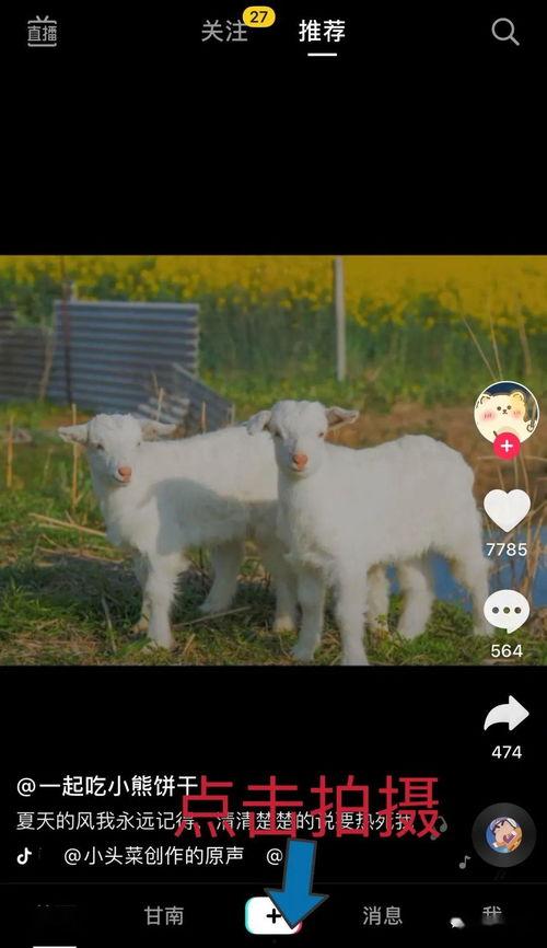 爆料网红小羊视频大全集,揭秘网络红人的魅力瞬间 第3张 爆料网红小羊视频大全集,揭秘网络红人的魅力瞬间 第3张